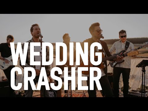 BIRDDOGS - Trailer Hochzeit | Die perfekte Hochzeitsband für Eure Traumhochzeit