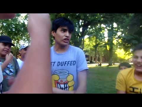 FORMULA VS WONDER | BATALLA DE PERROS | 1VS1