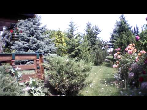 Video AR.Drone 2.0: 2014/06/09