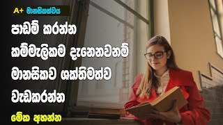 Get Ready To Fight  Sinhala  Exam & Study Moti