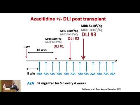 01 Preventing post-transplant relapse in AML | Dr. Ali Bazarbachi | 13 Sept 2024