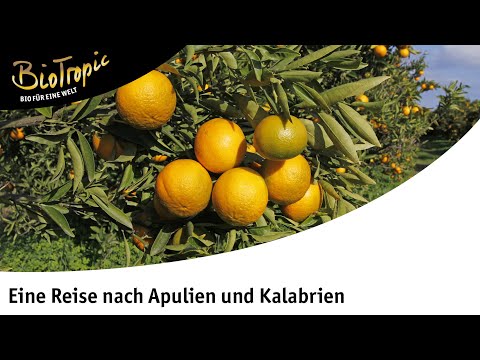 Eine Reise nach Apulien und Kalabrien mit BioTropic
