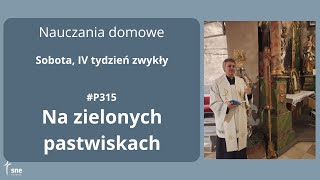 #NauczaniaDomowe - #P315 - Na zielonych pastwiskach - #ArturSepioło – 08.02.2025