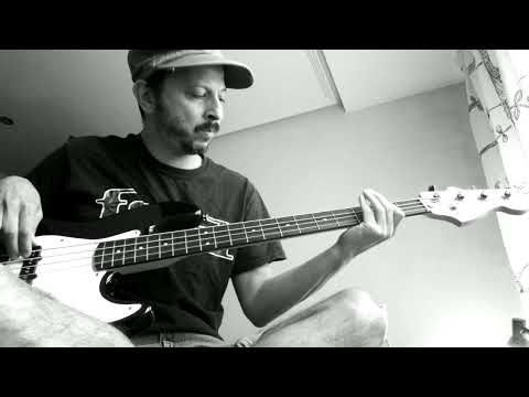 bass cover Smashing Pumpkins 'Neverlost ' #neverlost #smashingpumpkins #zeitgeist