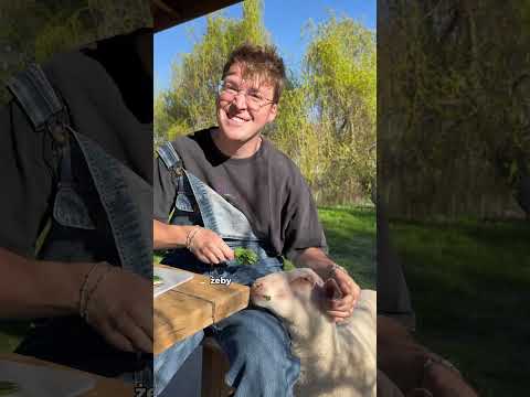 Henio ma już 3 miesiące! 😍 Zobaczcie co słychać u mojego baranka 😁