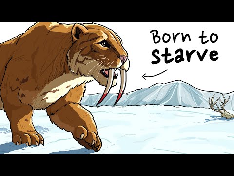 Why It Sucked to Be Born as a Sabertoothed Cat
