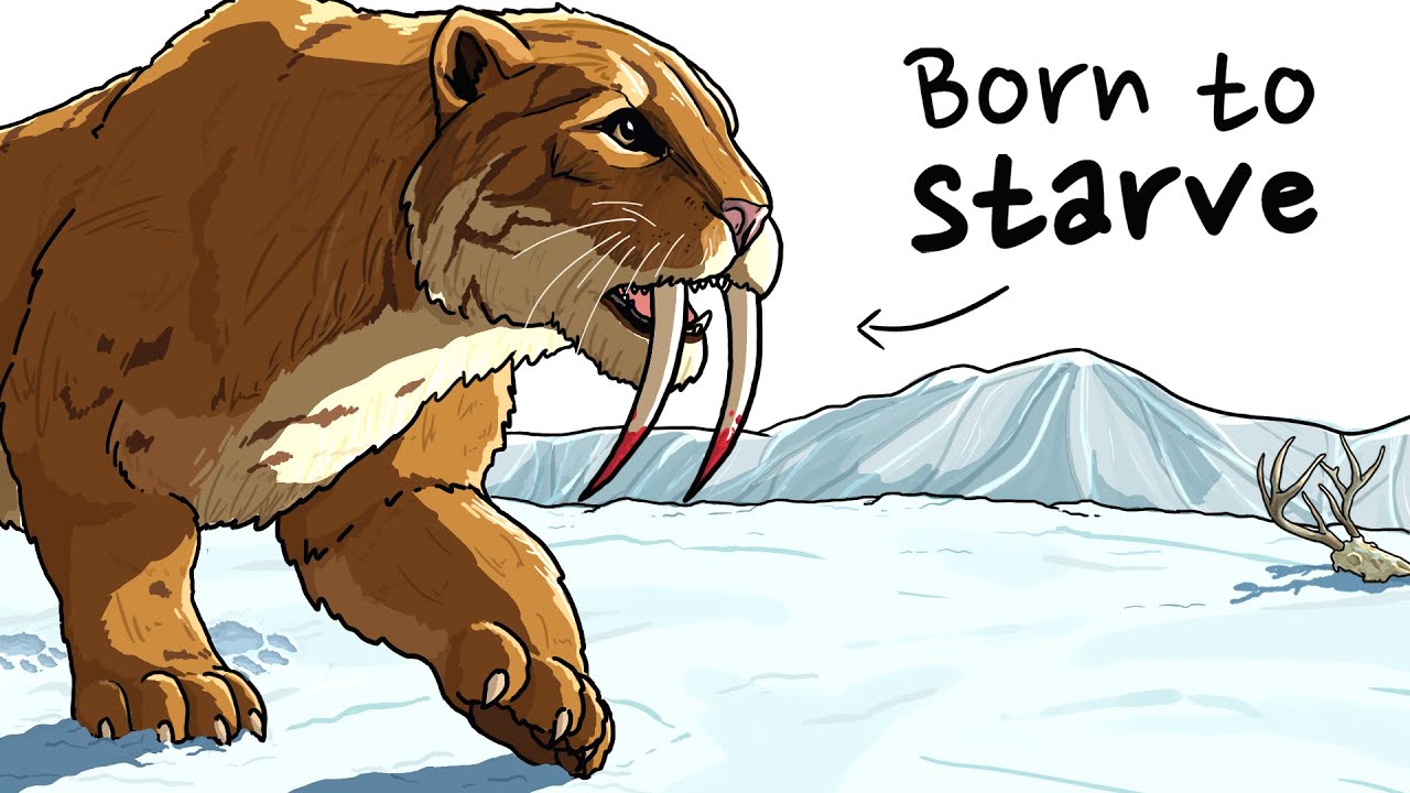 Why It Sucked to Be Born as a Sabertoothed Cat