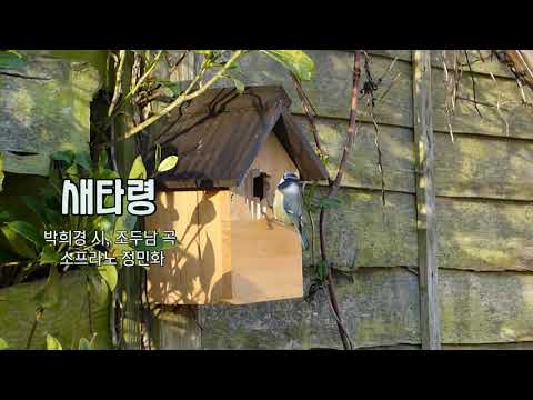 🐦 흥겨운 우리가곡 [새타령] - 박희경 시, 조두남 곡 - 소프라노 정민화