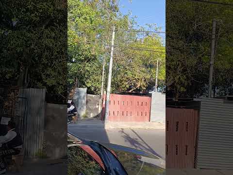 Mariachis en Apopa San Salvador 503 75707086 #musica