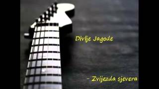 Divlje Jagode  -  Zvijezda sjevera