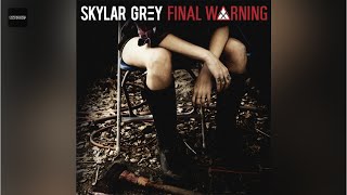 Skylar Grey - Final Warning (Clean Version)