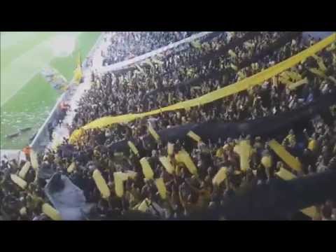 האריות של הבירה(והיא עולה)