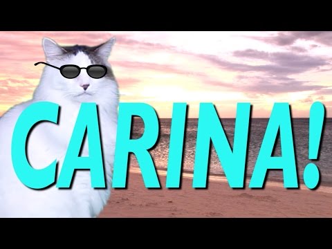 HAPPY BIRTHDAY CARINA! - EPIC CAT Happy Birthday Song