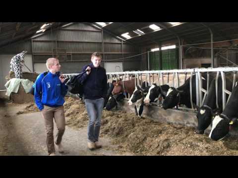 Volleybalvereniging Renswouw, volleybalkamp 2017!