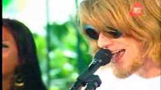 Alucinação Lyrics English Translation