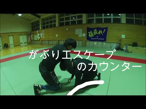 【がぶり】MMA総合格闘技・レスリング～がぶりエスケープ→カウンター～