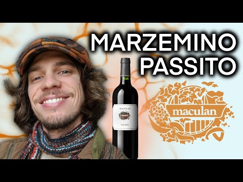 MARZEMINO PASSITO: una GEMMA RARA 🍷😍