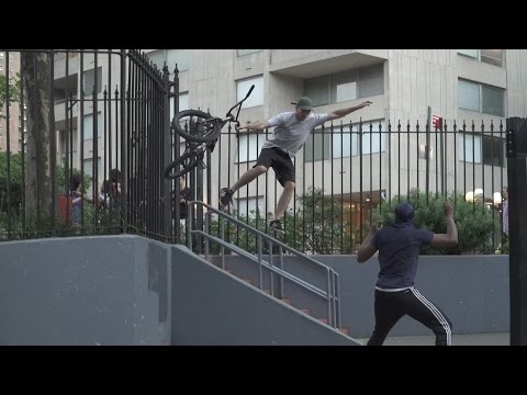 BMX - ANIMAL BIKES: FACTS