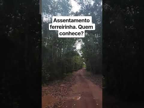 Assentamento ferreirinha. Ferreira Gomes-AP #amapá quem conhece ? #brasil #floresta