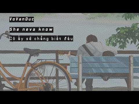 s h e n e v a k n o w - VoVanDuc |Seri Lofi|