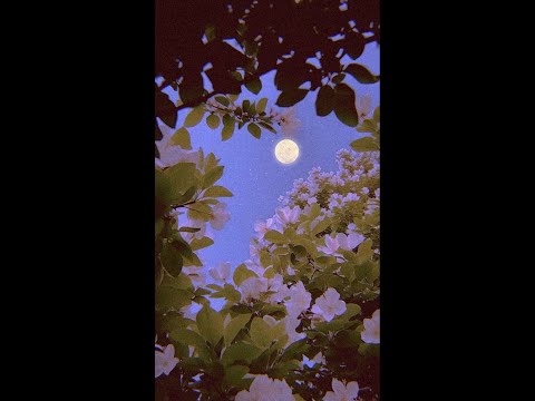 [FREE] Zamdane X Wallace Cleaver Type beat - Poète Maudit