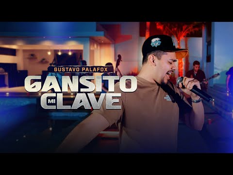 Gustavo Palafox - Gansito Mi Clave