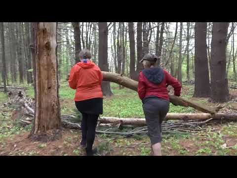 Musketaquid: A Tale of Art and Nature Trailer