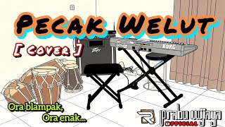 Download lagu Pecak Welut (cover) Voc : Anggi Wulandari mp3