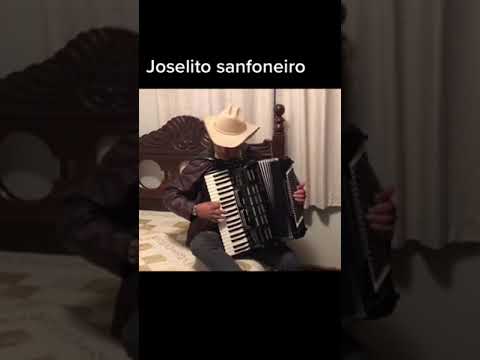 Xote Da Meia Noite - Forronacapa