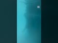 What The Bottom Of An Iceberg Looks Like