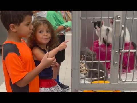 Zayna looking for a new pet!