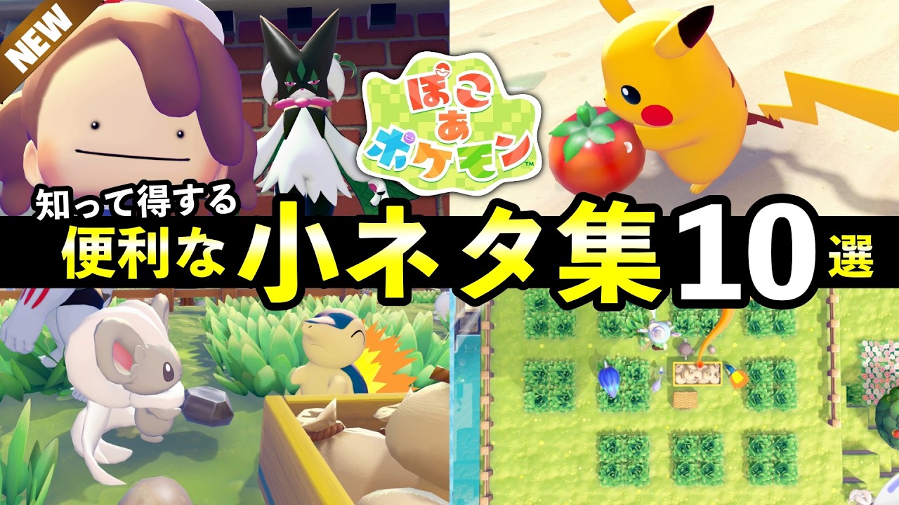 【ぽこあポケモン】知って得する小ネタ集13選！限定ポケモン・隠し要素・便利な技