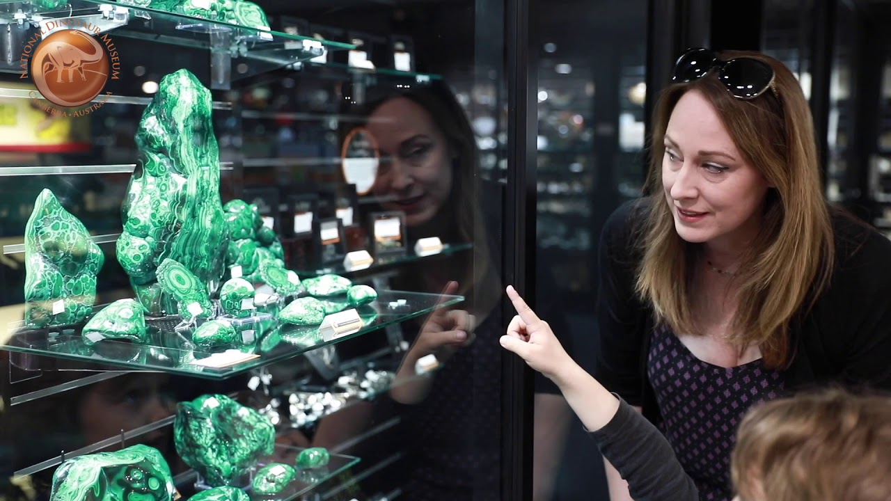 Catch a sneak peek of National Dinosaur Museum.