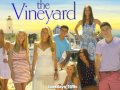 "Hey Hey Hey" featured on ABC's The Vineyard, sang by Ashlee Williss