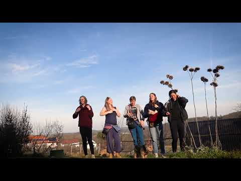 Magic-Trick fürs Leinenhandling – Hundetrainer-Ausbildung mit Willenskraft 2025