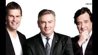 Talking about the then popular ice bucket challenge, McGuire joked that he'd like to see Wilson (who had questioned whether it was time for him to retire as Collingwood president) put under water and kept there. He initially defended the comments as a joke, then retracted them. Wilson wrote a column calling him a bully.