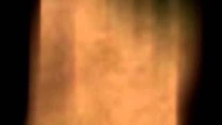 BALKAN BEAT BOX   La Bush Resistance