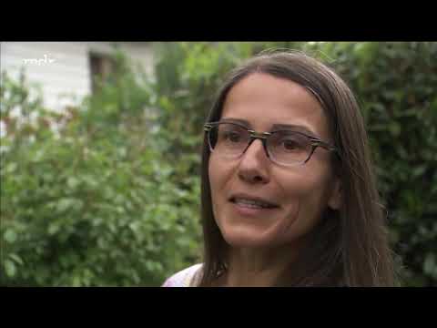 In love with English roses: A fragrant dream garden | MDR Garden