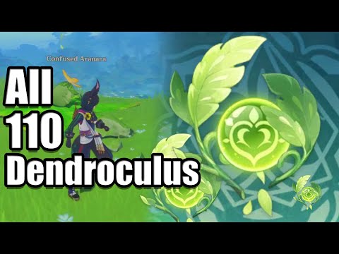 All 110 Dendroculus Locations 3.0 [With Timestamps]