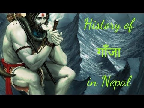HISTORY OF "WEED" IN NEPAL |  नेपाली गाँजाको इतिहास