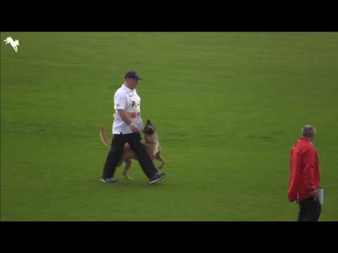 WM FCI IPO Rechtsanwalt von der Steinteichmuhle B -Part 1