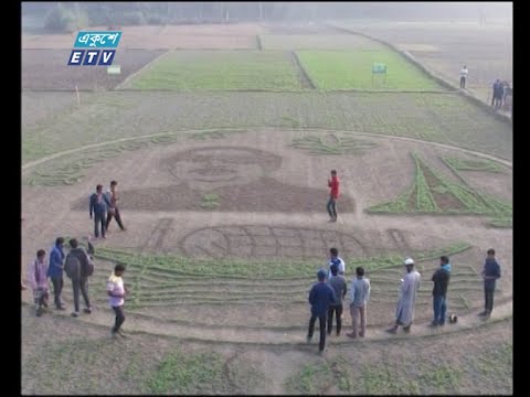 কৃষক আব্দুল কাদির একেছেন জাতির পিতার প্রতিকৃতিসহ বিভিন্ন শিল্পকর্ম