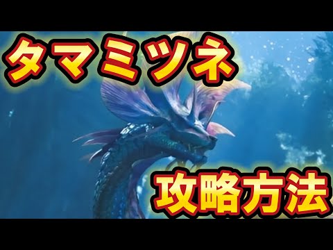 タマミツネ攻略方法!!緋の森にて出現するタマミツネの倒し方!!【モンスターハンターワイルズ】