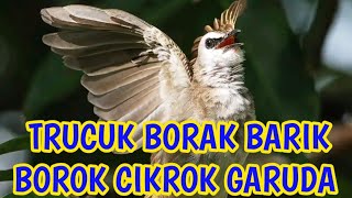 Download lagu trucuk borak barik borok cikrok Garuda mp3