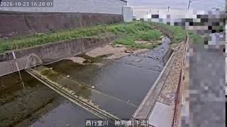 西行堂川 神明橋 下流