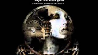 The Duskfall "Downright Dreadful"