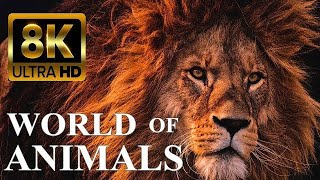 AFRICAN ANIMALS VIDEO NAME AND SOUNDS FULL DETAILS VIDEO