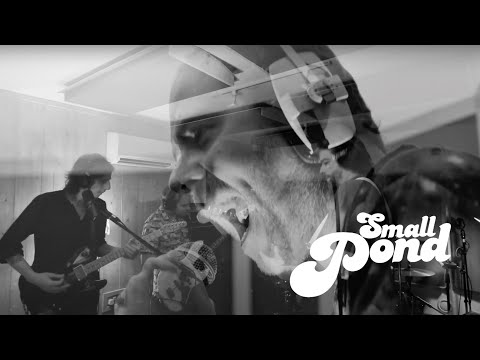 The Guru Guru - Make Less Babies  (Small Pond Session)