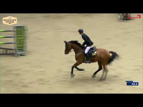 Lord Pezi Junior - CSI 3* Herning/DK