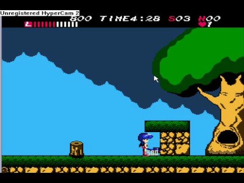 20 Worst NES Games Of All Time-Athena